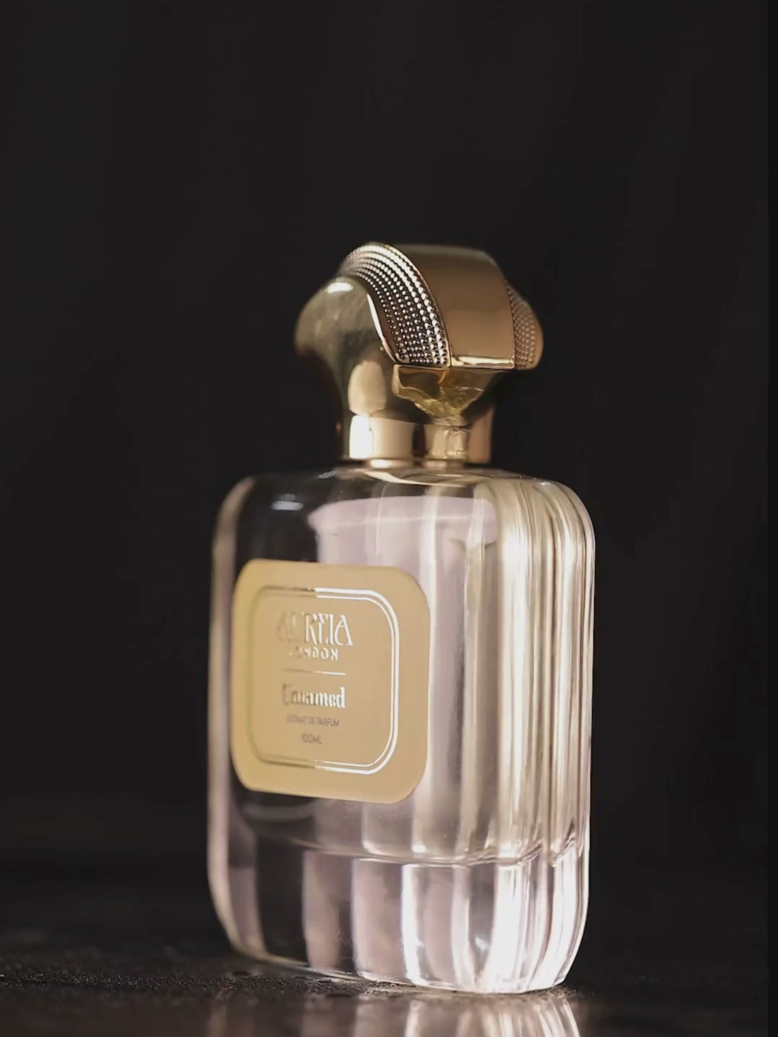 Untamed By Aureia London - 100ml Oil-Based | 48 Hours Long Lasting Extrait de Parfum