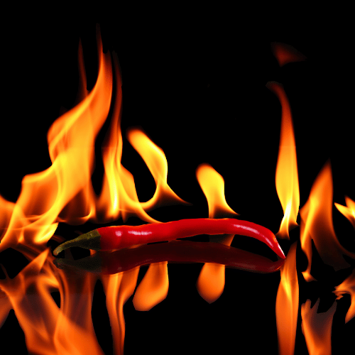 Warm Spicy