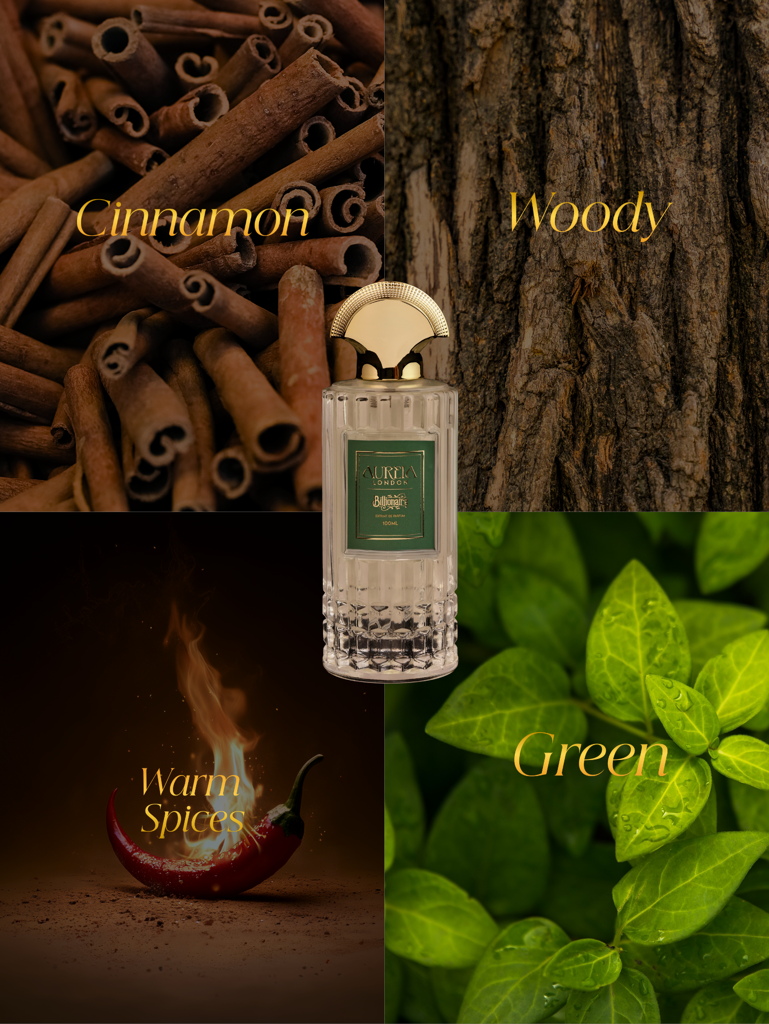 Billionaire By Aureia London - 100ml Oil-Based | 48 Hours Long Lasting Extrait de Parfum