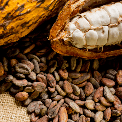 Cacao
