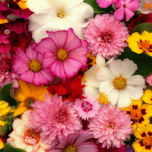 Soft Florals