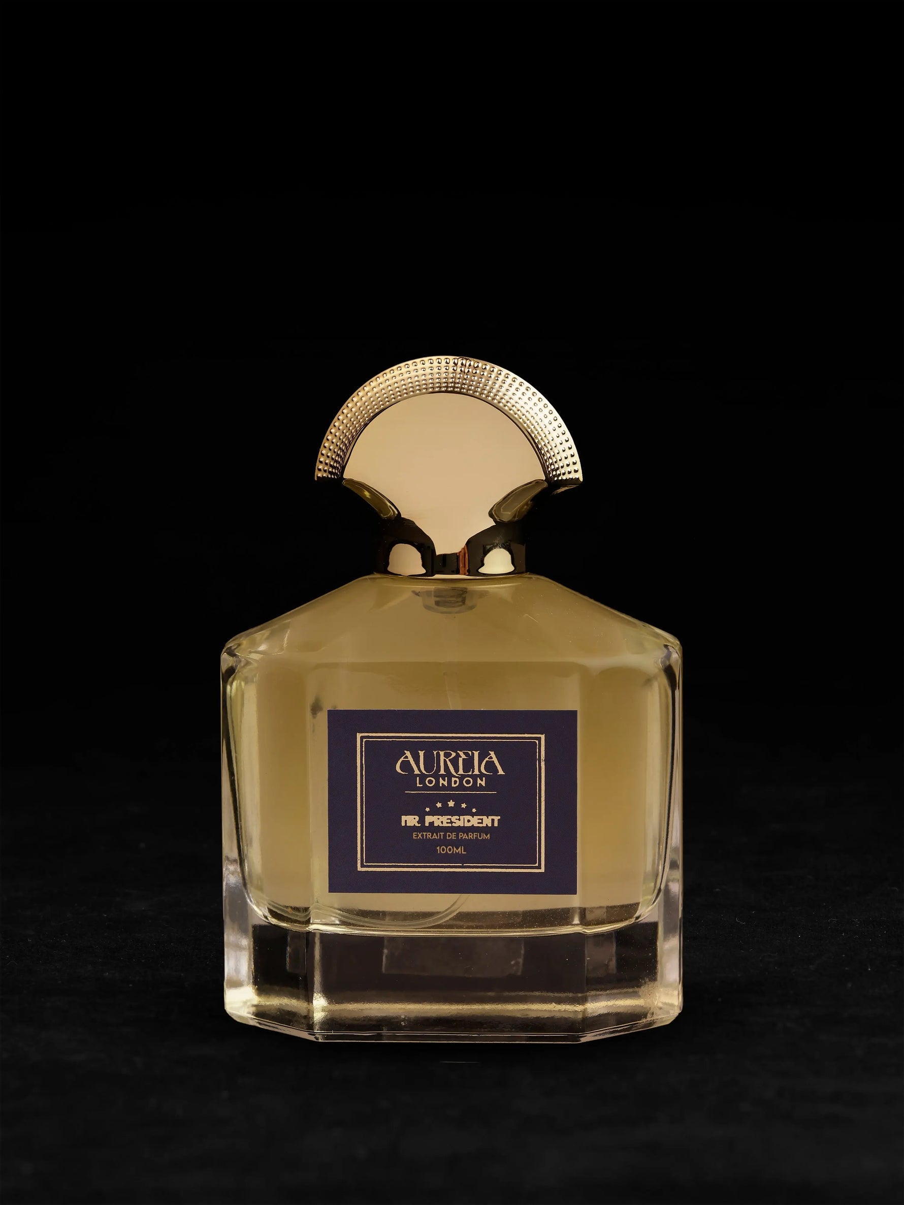 Mr President By Aureia London -  100ml Oil-Based | 48 Hours Long Lasting Extrait de Parfum Aureialondon