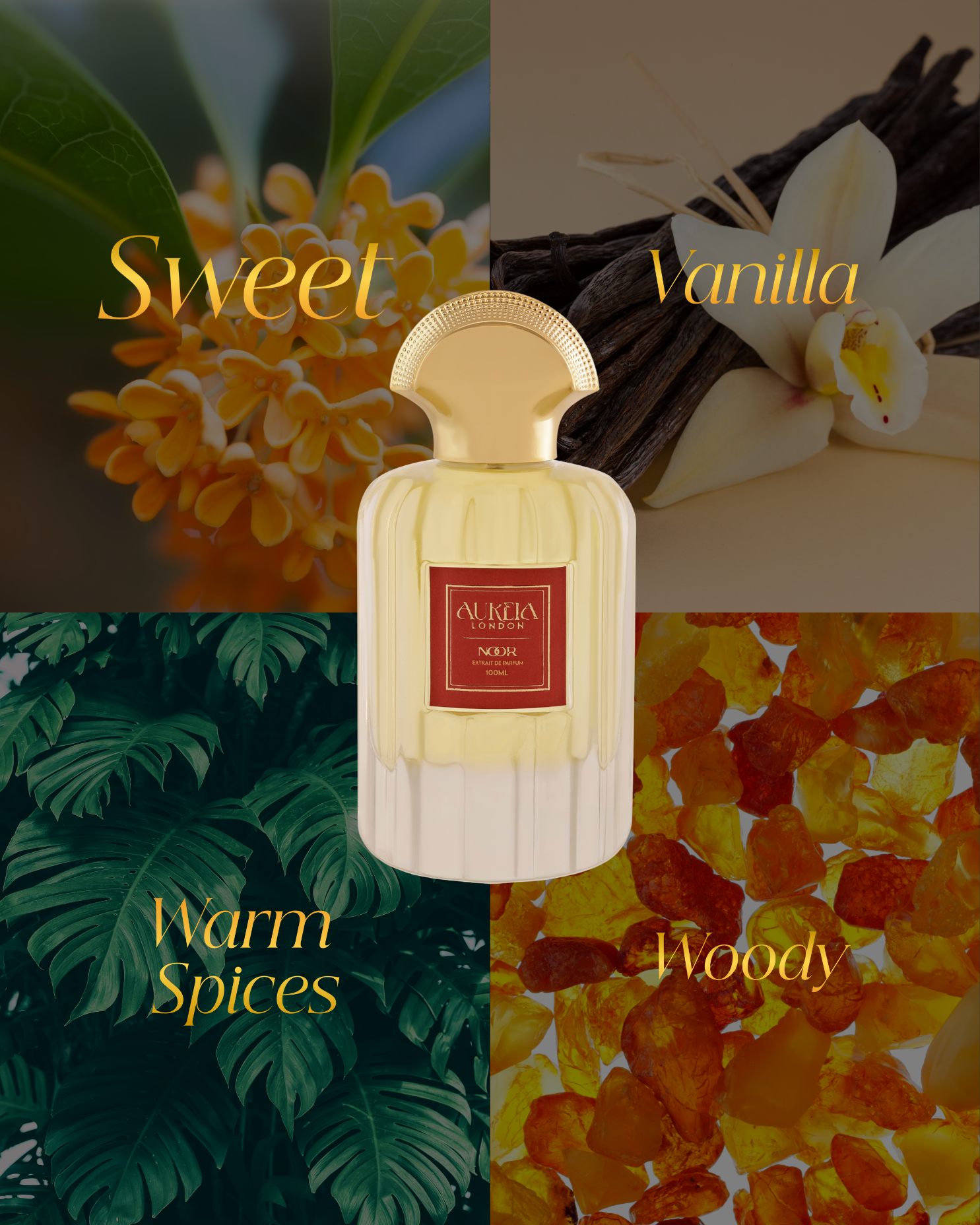 Noor By Aureia London - 100ml Oil-Based | 48 Hours Long Lasting Extrait de Parfum