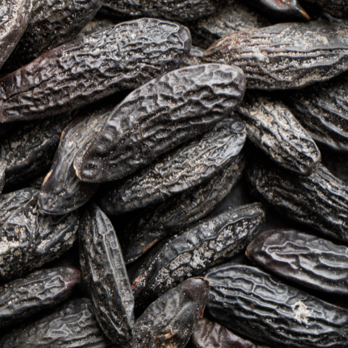 Tonka Bean