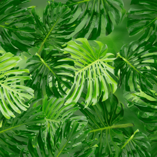 Tropical