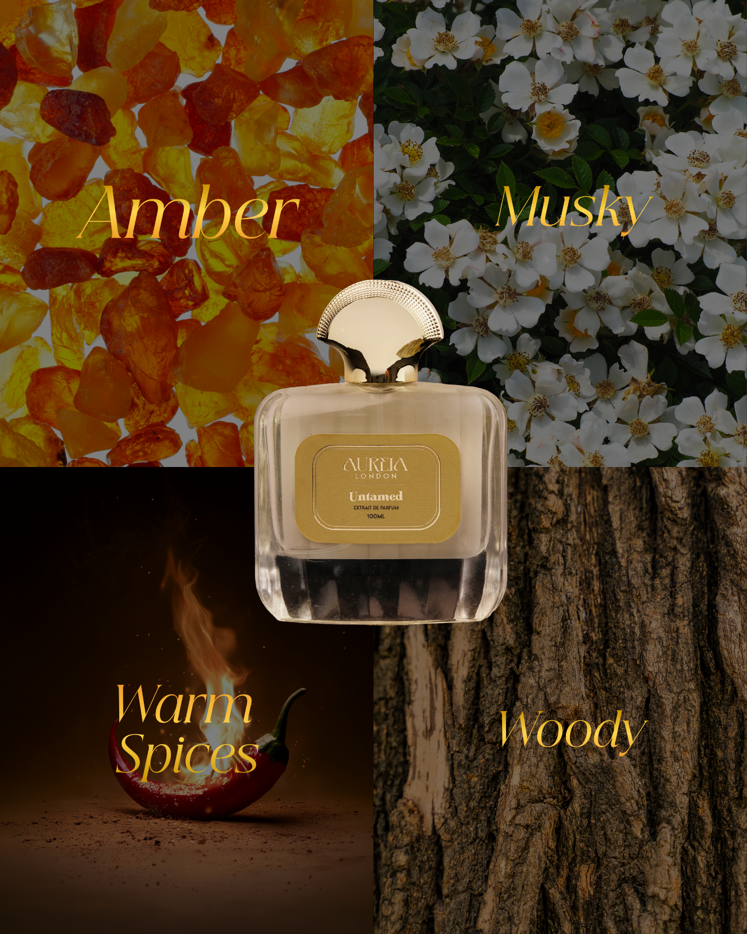 Untamed By Aureia London - 100ml Oil-Based | 48 Hours Long Lasting Extrait de Parfum