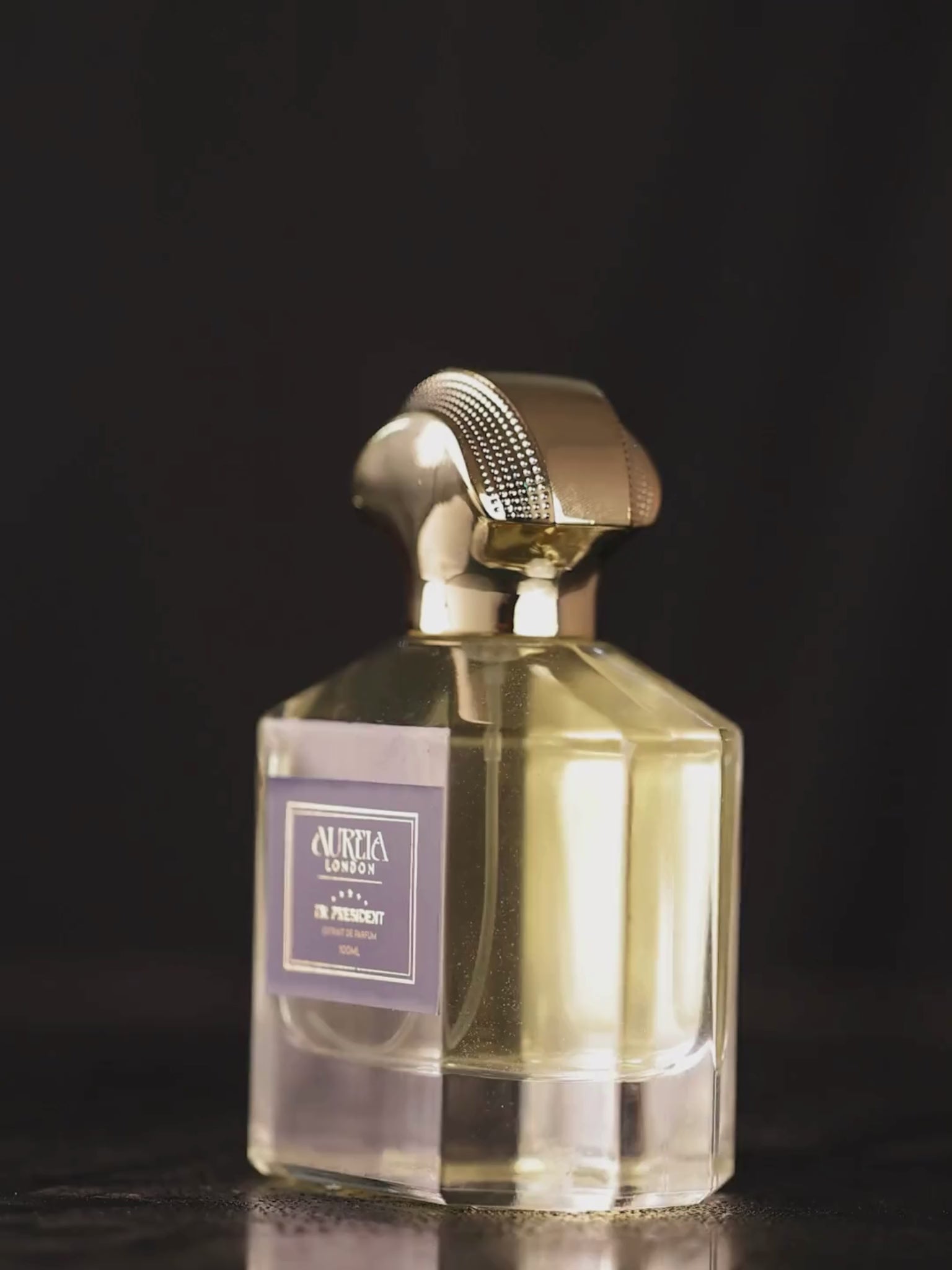 Mr President By Aureia London -  100ml Oil-Based | 48 Hours Long Lasting Extrait de Parfum