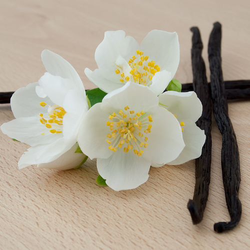 Vanilla